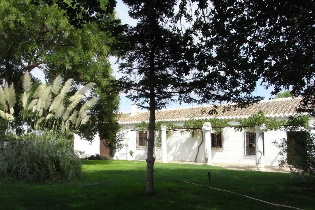 Casa El Carmen Villa Ciudad Real Exterior photo